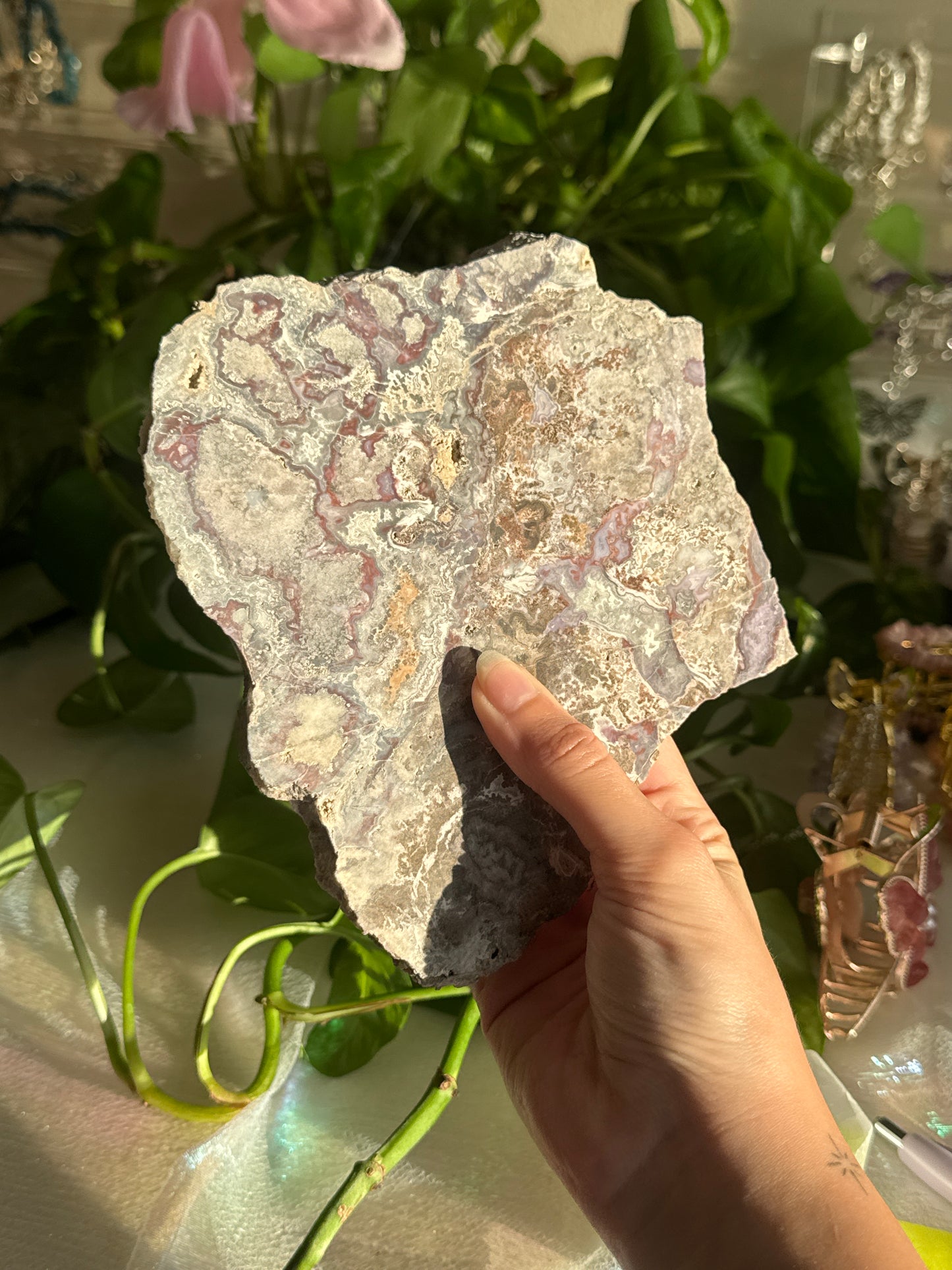 Purple & Red Crazy Lace Agate Unpolished Slab