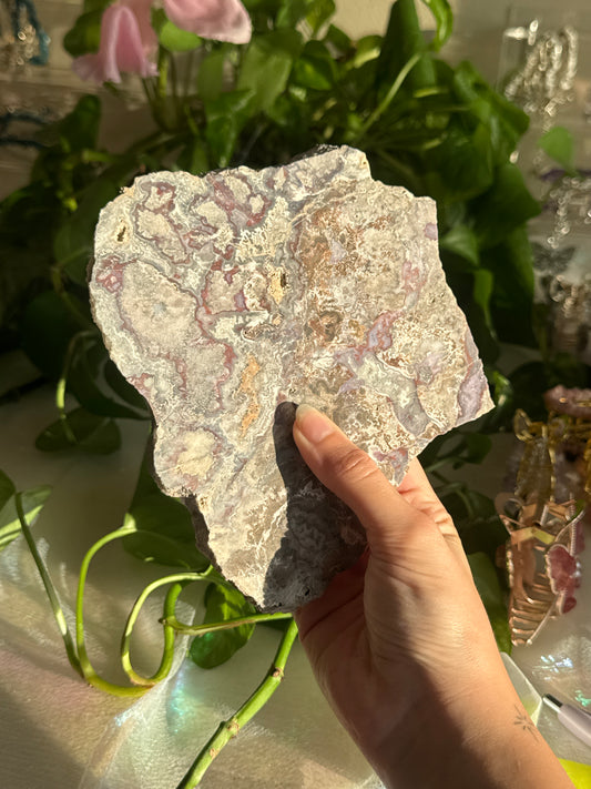 Purple & Red Crazy Lace Agate Unpolished Slab