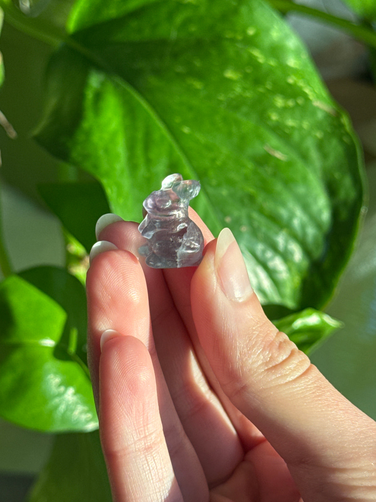 Bunny Fluorite Mini Carving
