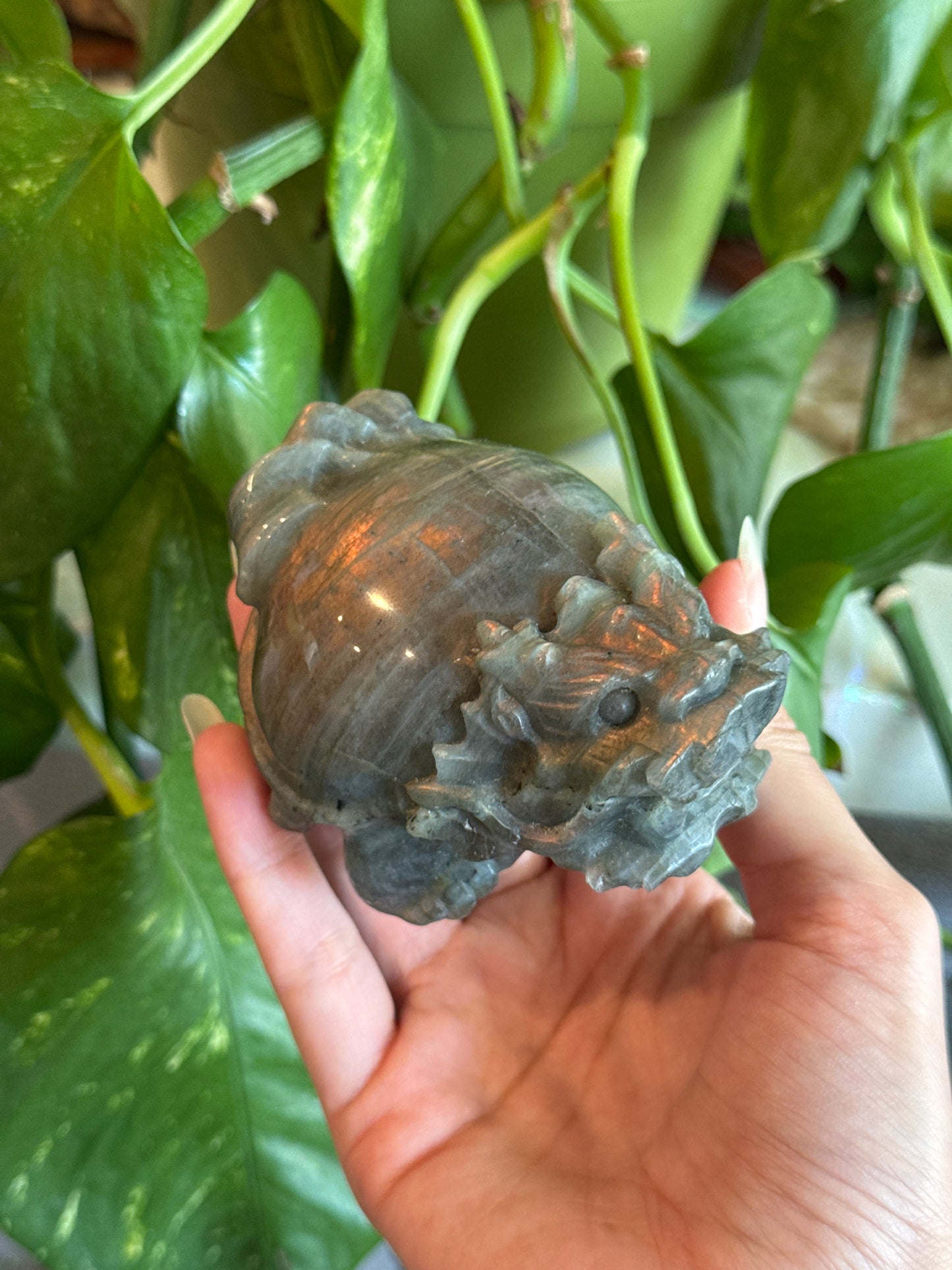 Money Dragon Labradorite Carving for Attracting Wealth & Abundance