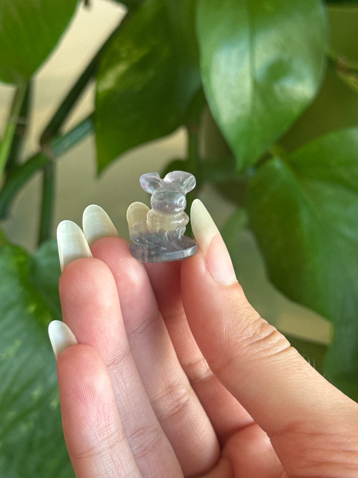 Fluorite Eevee