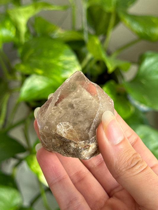 Raw Phantom Garden Quartz With Silver Rutile Point