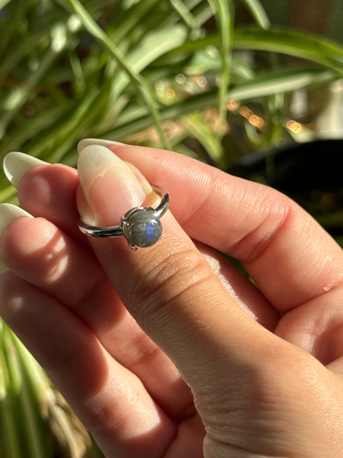 Cobalt Blue Labradorite Adjustable Ring | You Pick