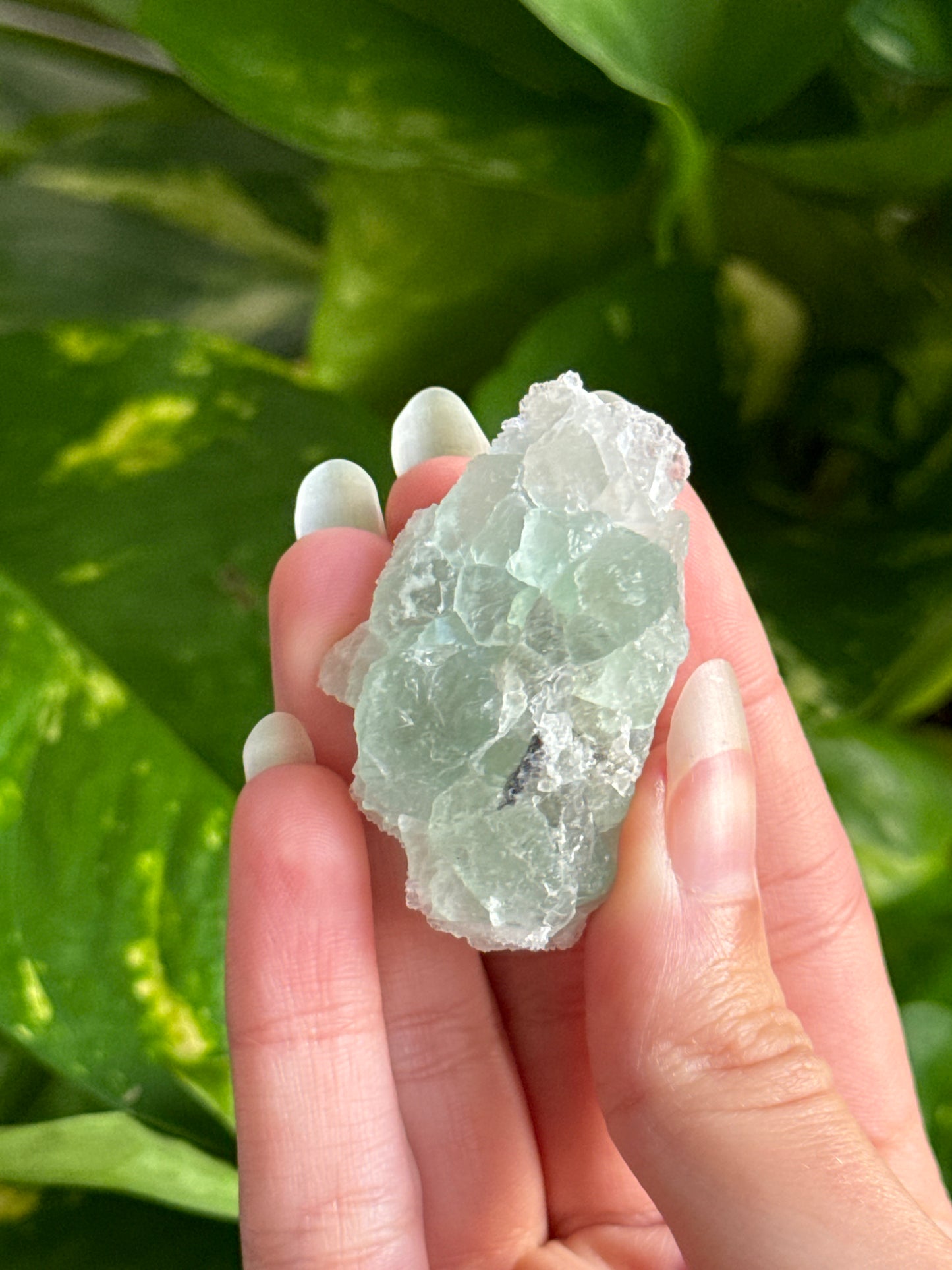 Sugar Cubic Fluorite Specimen