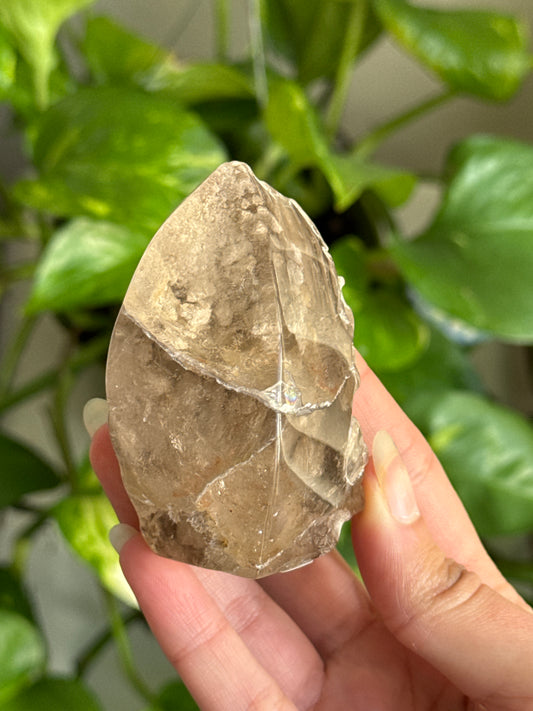 Smoky Garden Quartz Half Polished Freeform