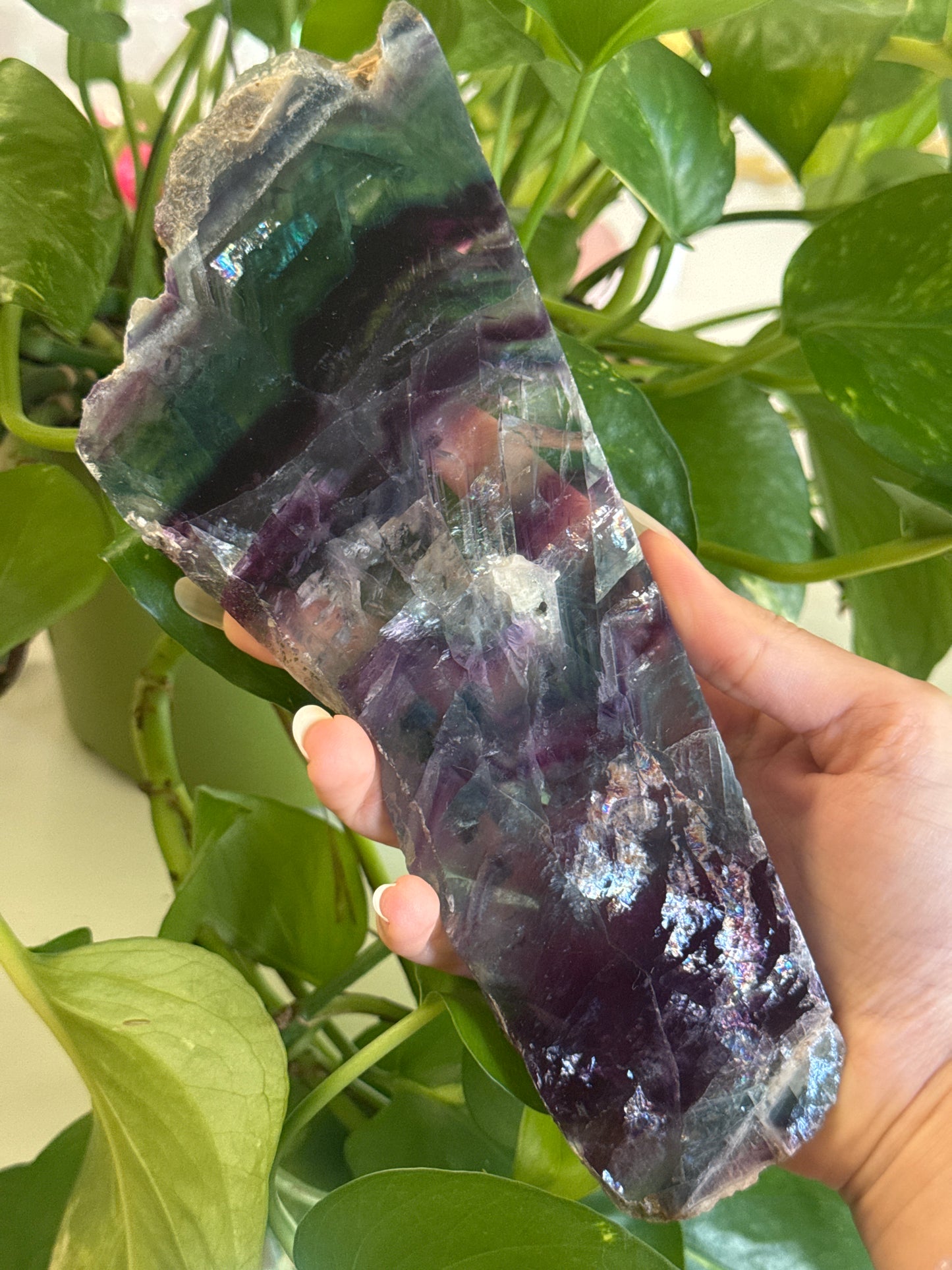 Fluorite Slab With Rainbows