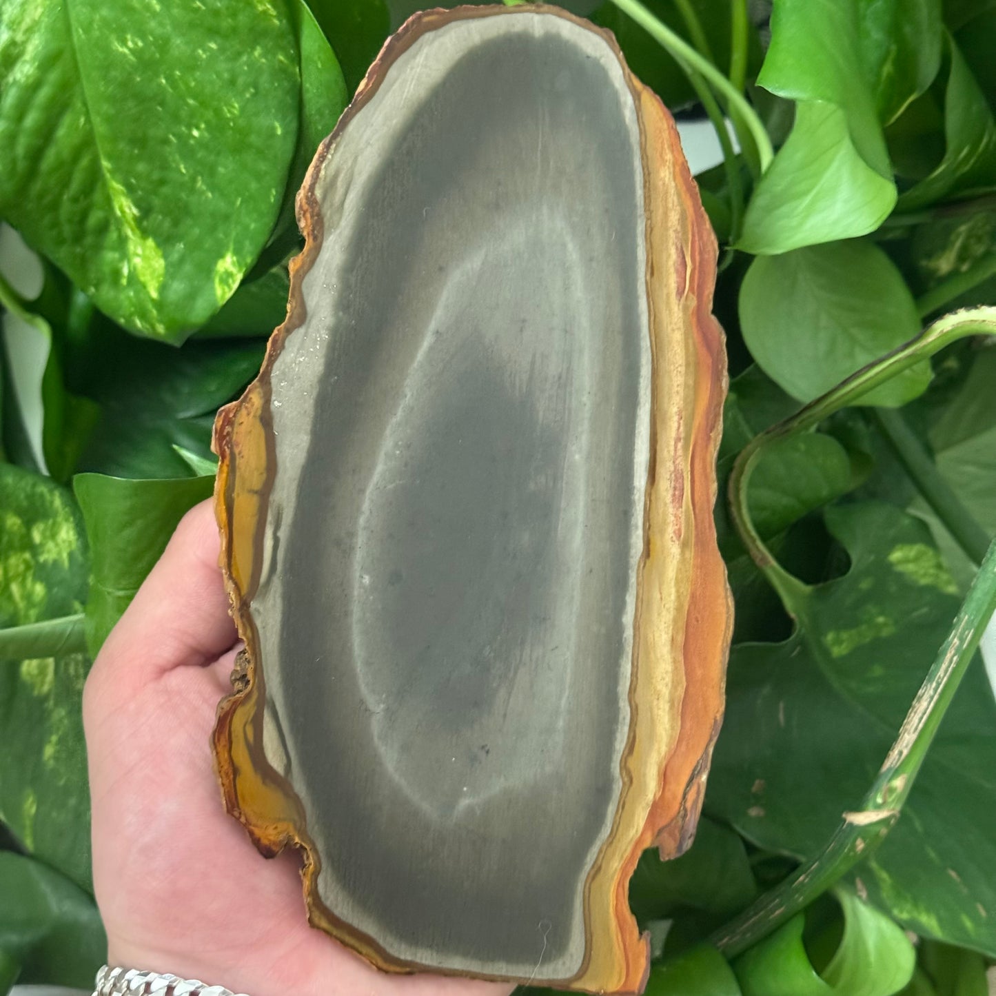 Large Moody Desert Polychrome Jasper Slab
