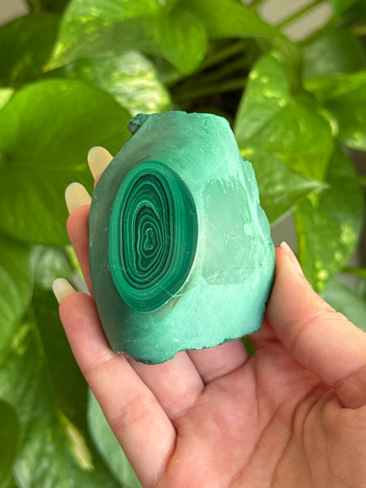 Half Polished Malachite Specimen