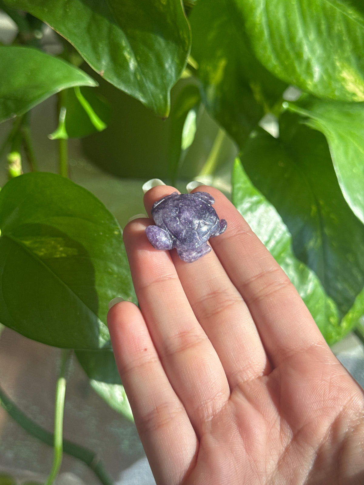 Lepidolite Mini Turtle