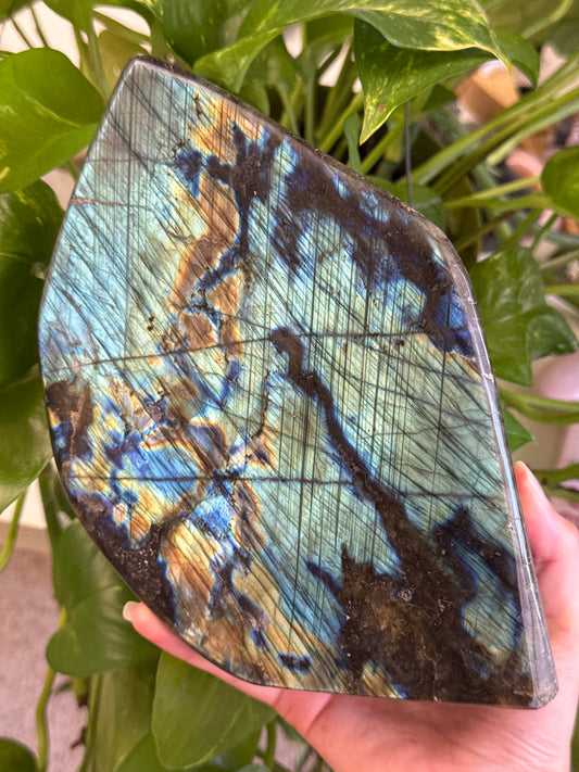 Large Labradorite Freeform