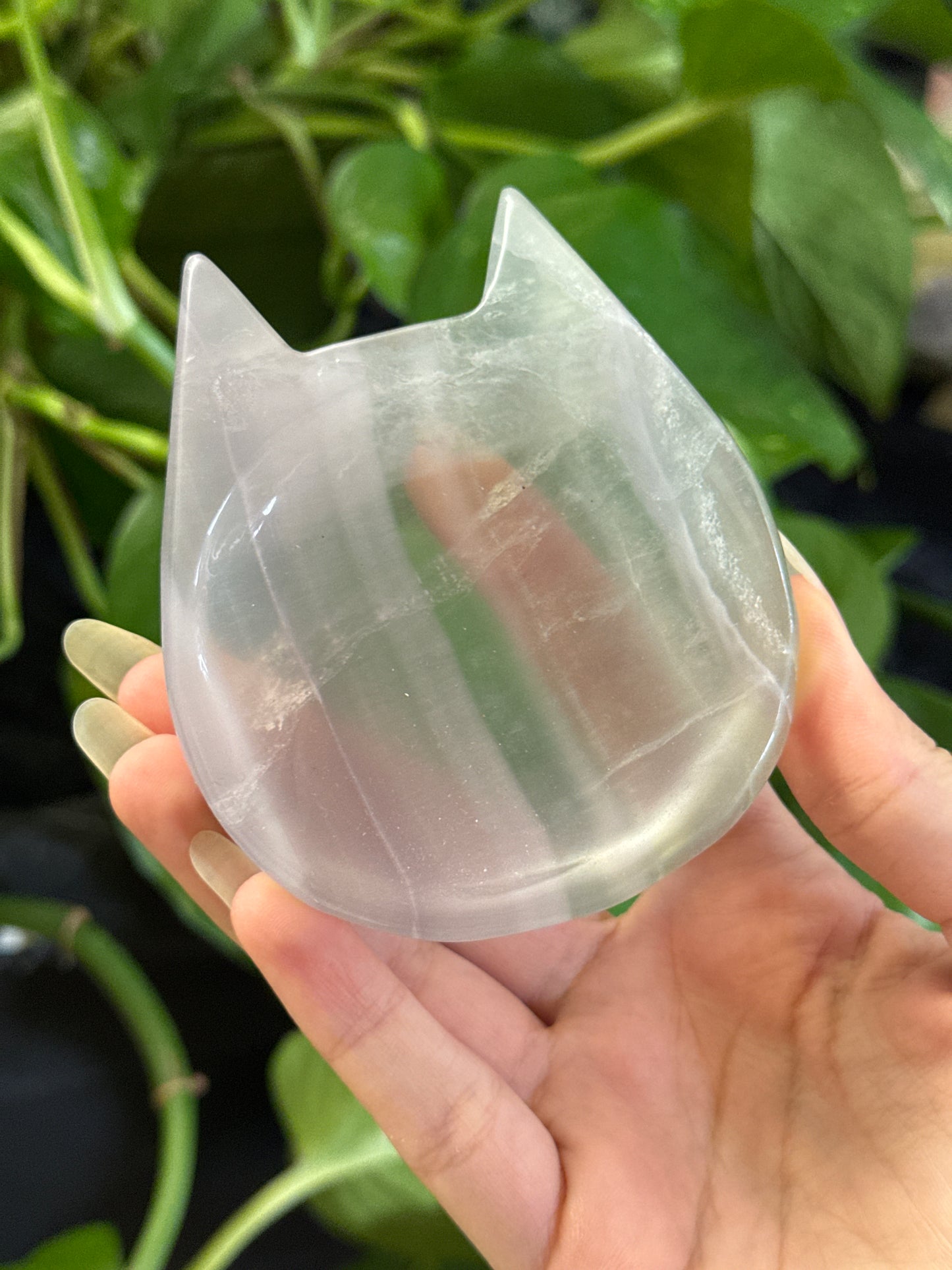 Yttrium Fluorite Kitty Bowl | You Pick