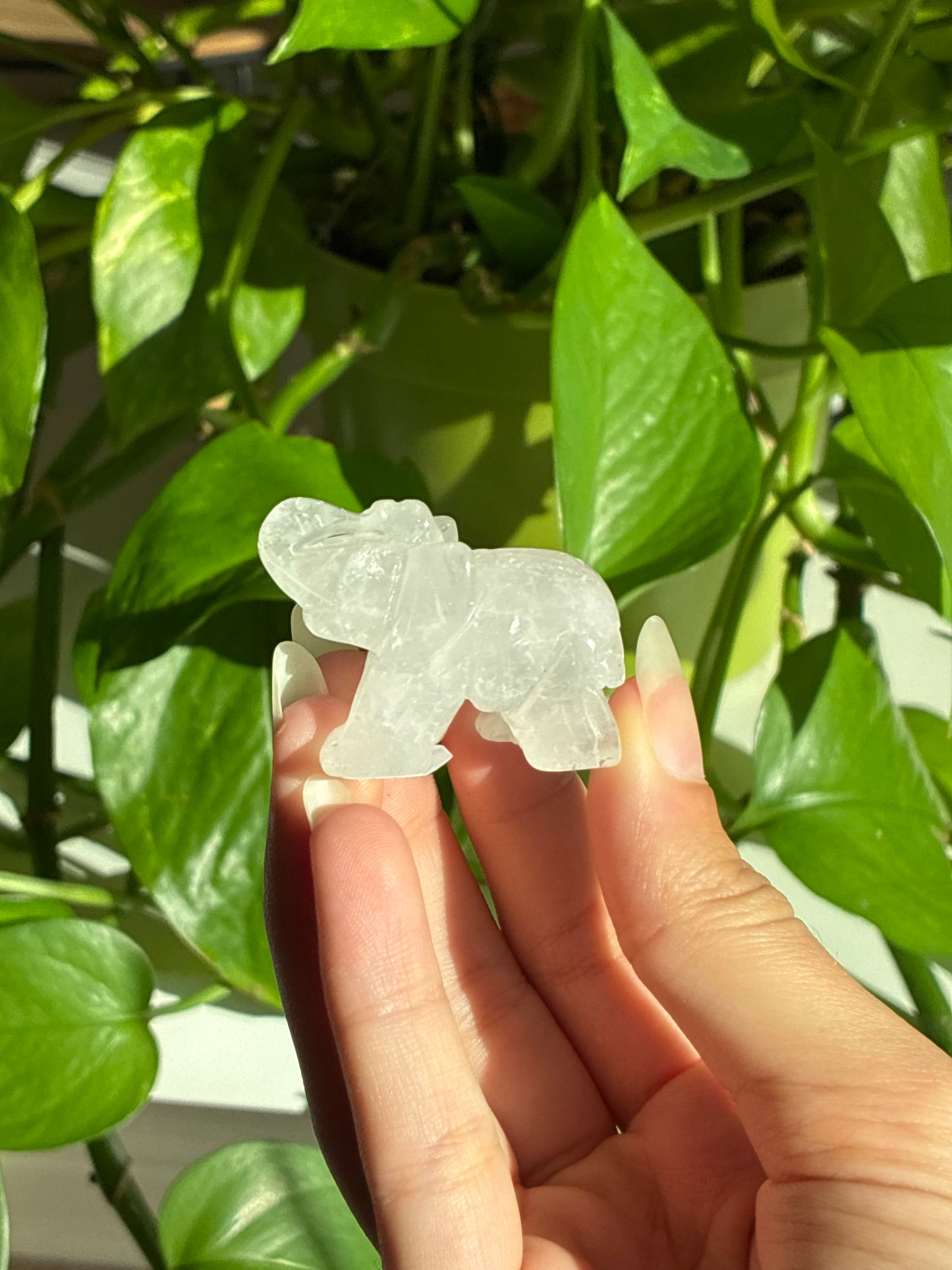 Clear Quartz Elephant Carving