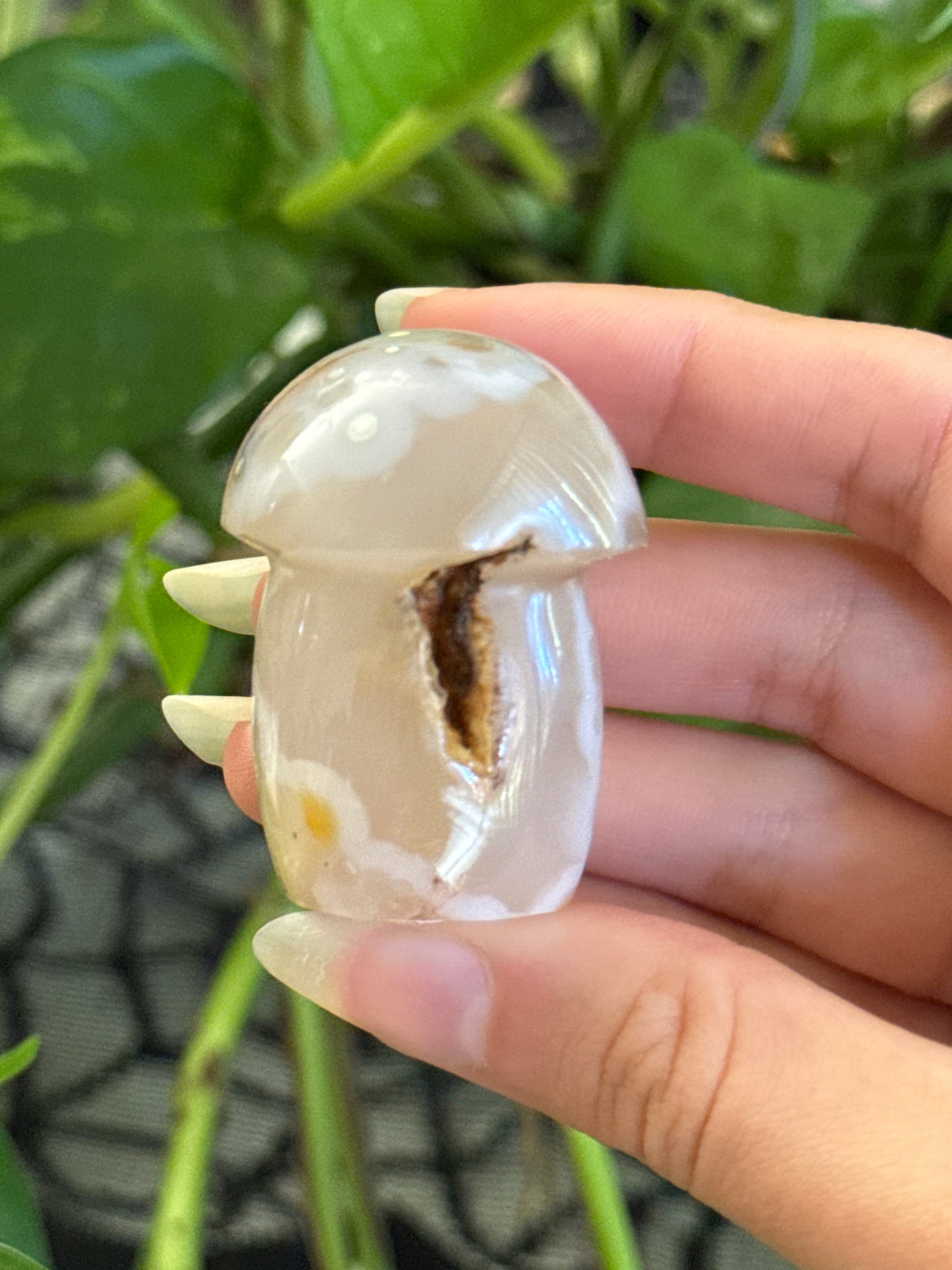 Unique Druzy Agate Mushroom with Moss Agate Inclusions