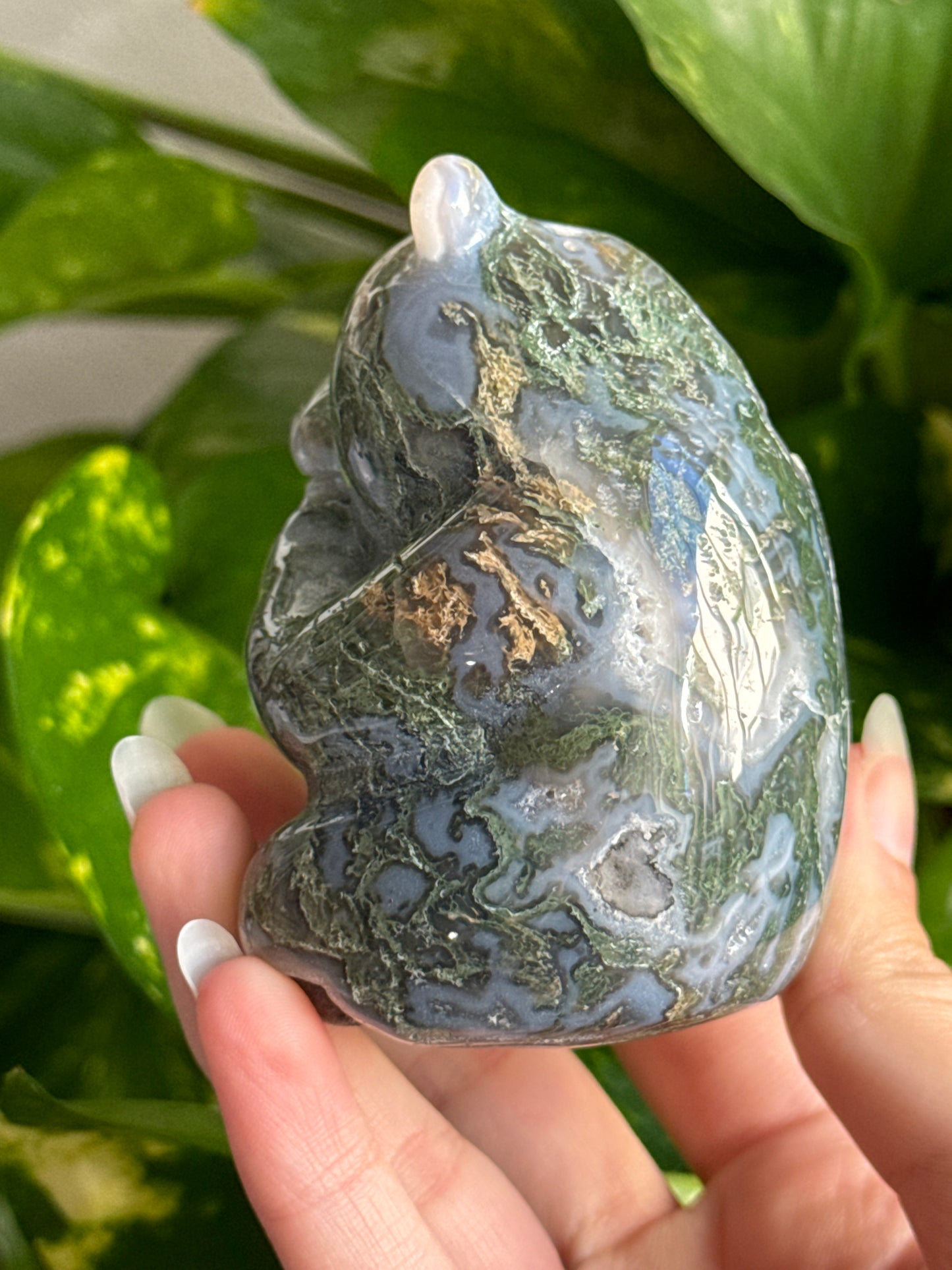 Druzy Moss Agate Panda