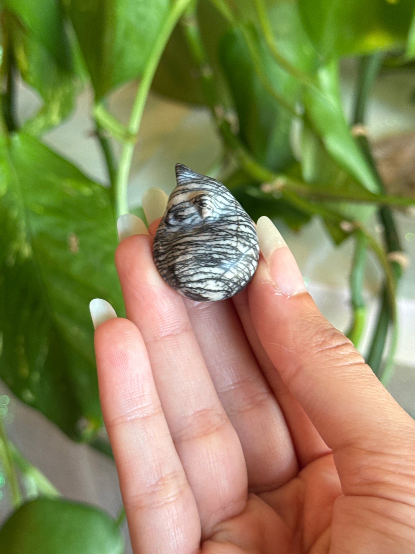 Spider Web Jasper Sleeping Kitty Carving