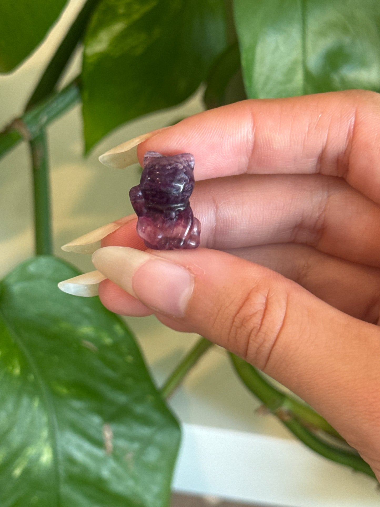 Fluorite Lucky Money Cat