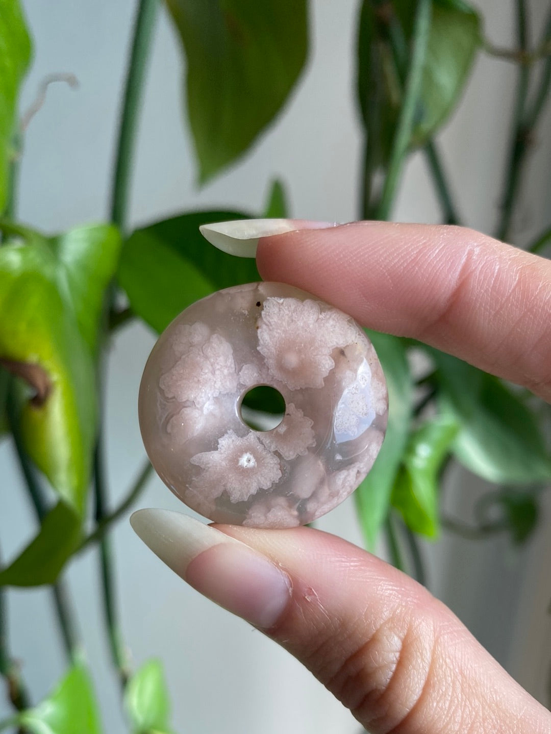 Flower Agate Donut - Intuitively Picked