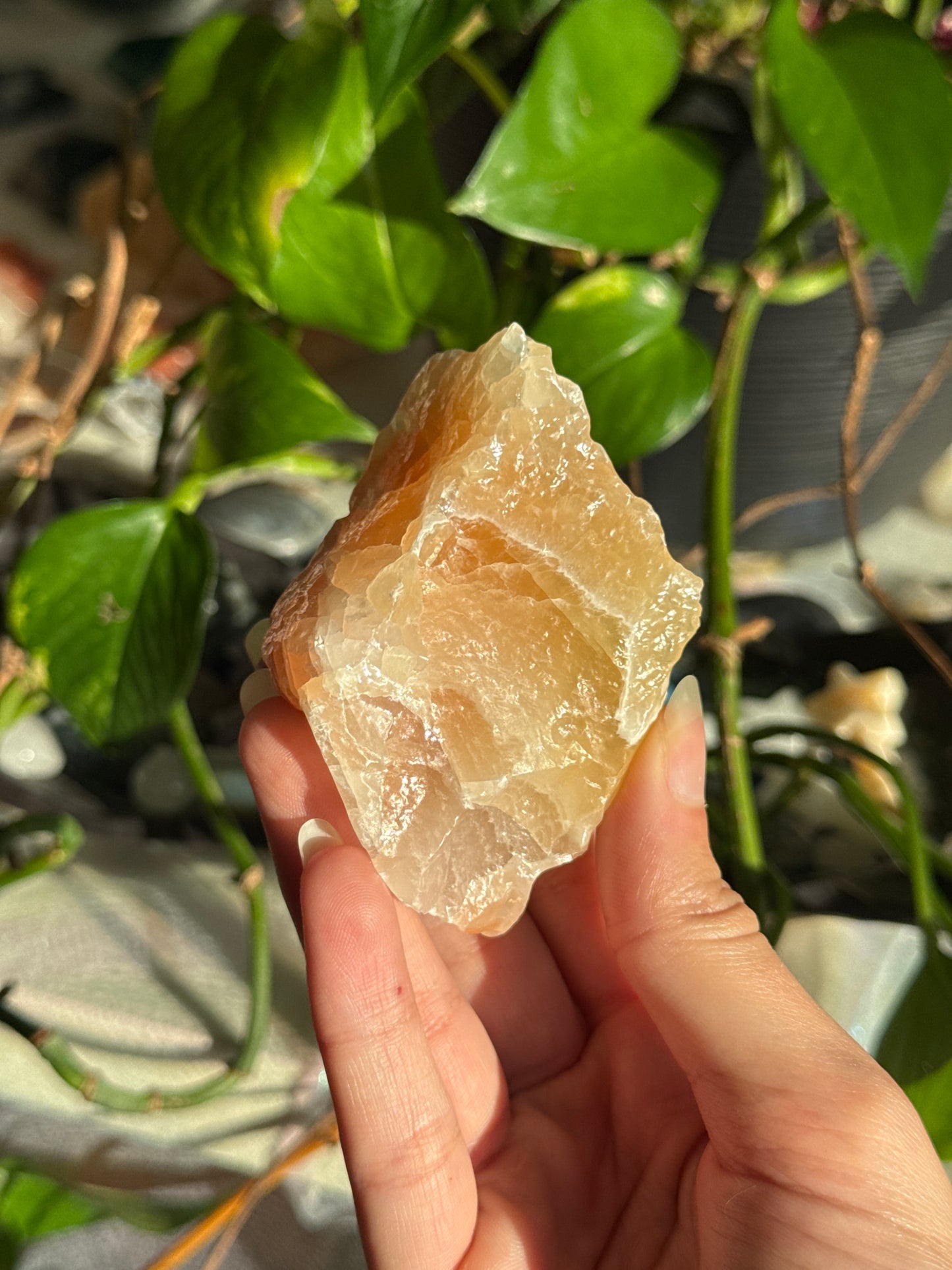 Peachy Banded Tri-Color Mexican Calcite A