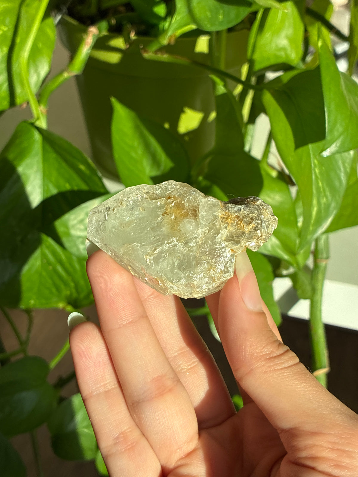Aquamarine and Muscovite Specimen