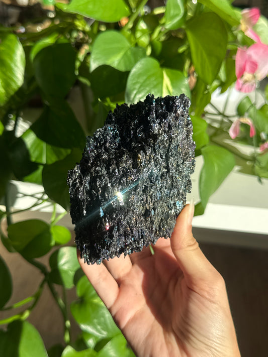Rainbow Carborundum