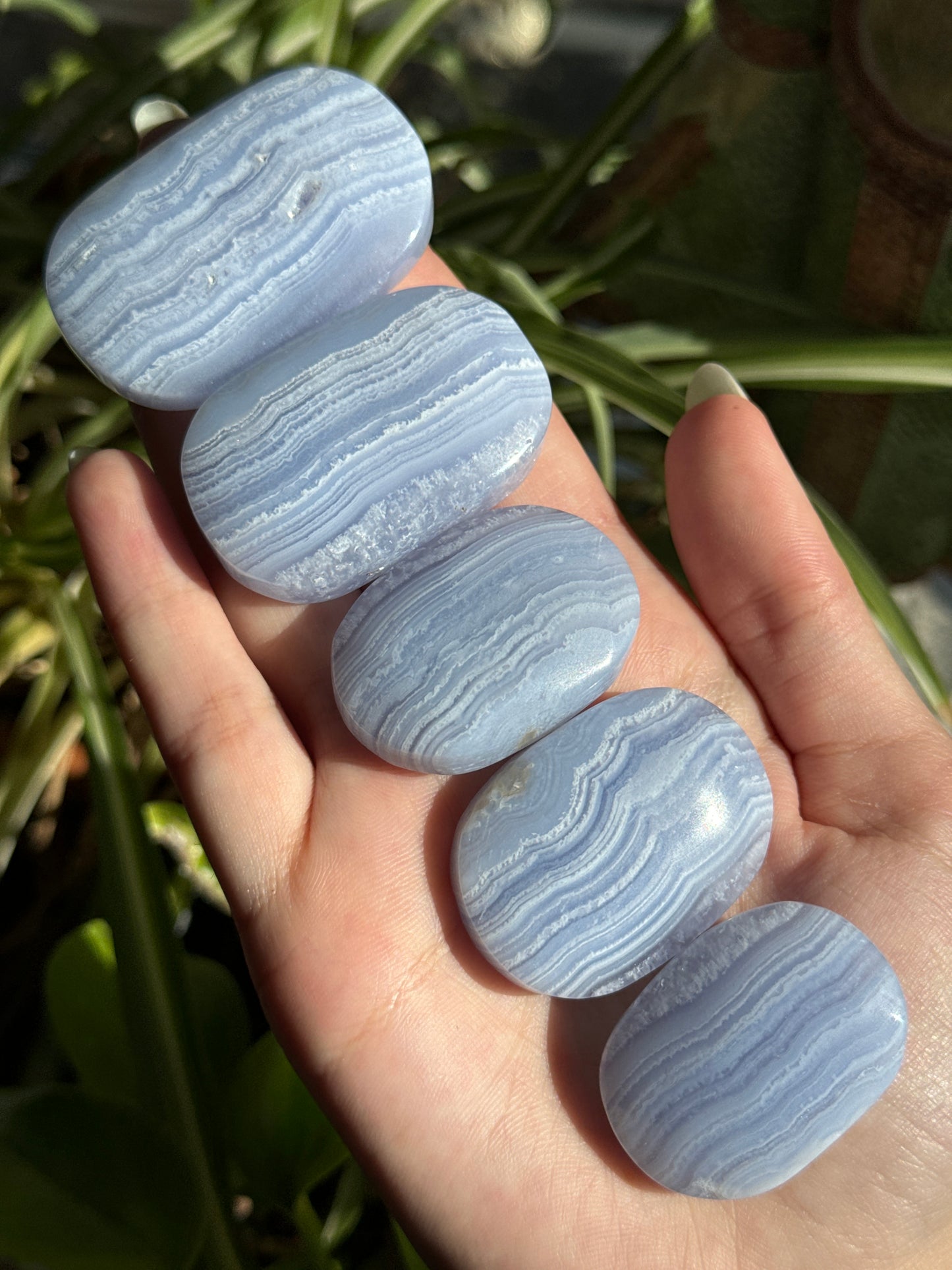 Blue Lace Agate Palmstone | You Pick