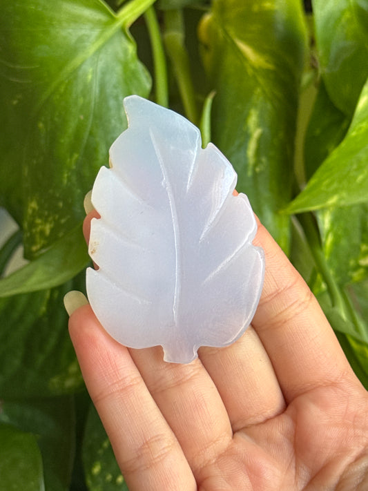 Blue Chalcedony Feather