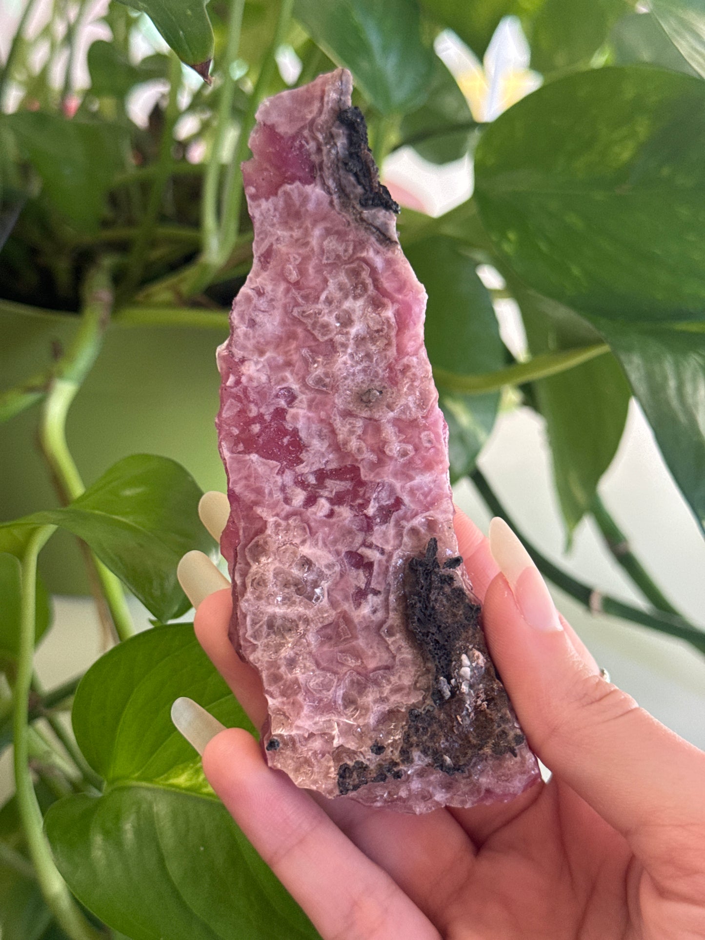 Rare Pink Gel Cobalto Calcite Specimen B