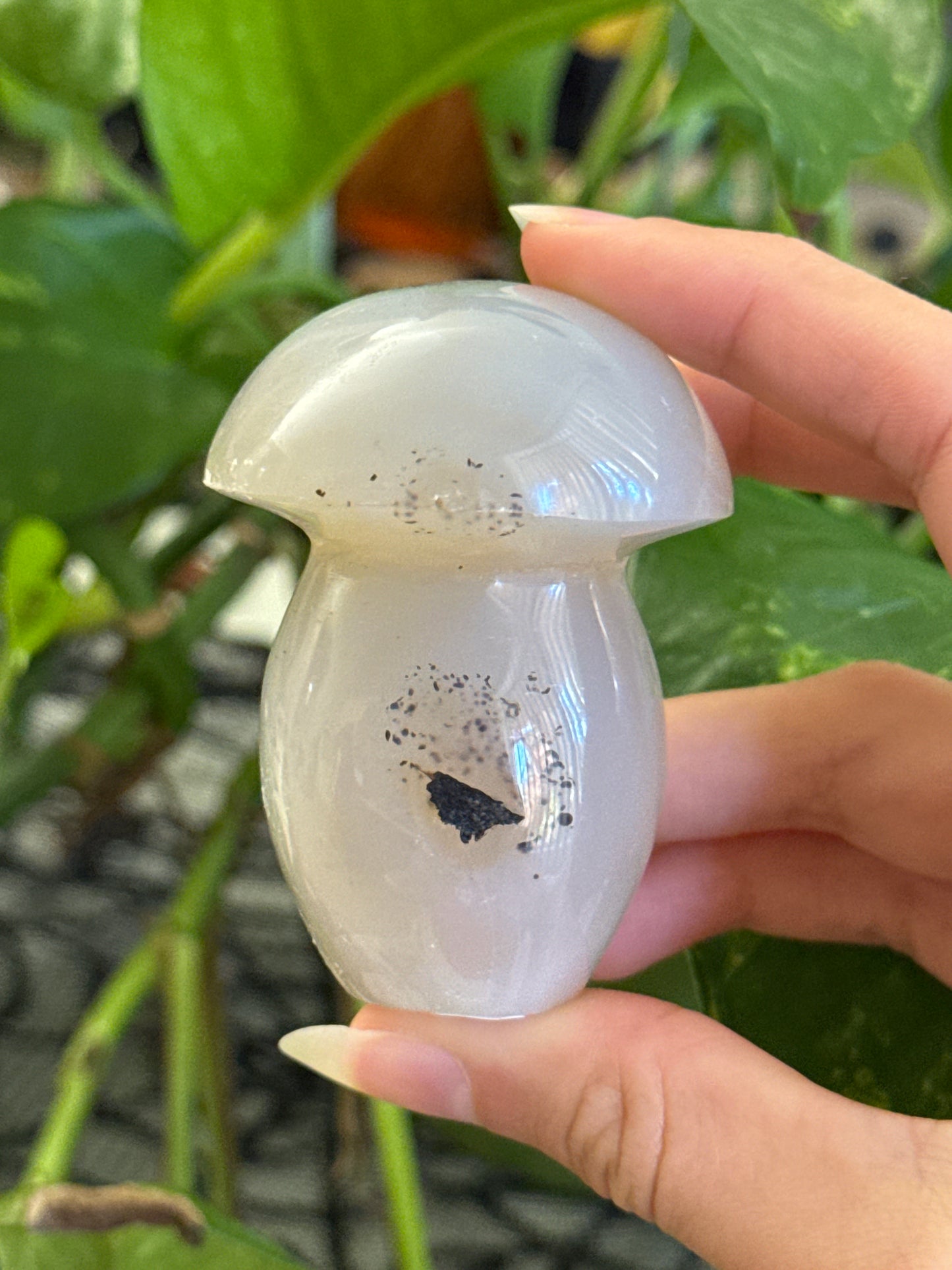 Dendritic Agate Mushroom