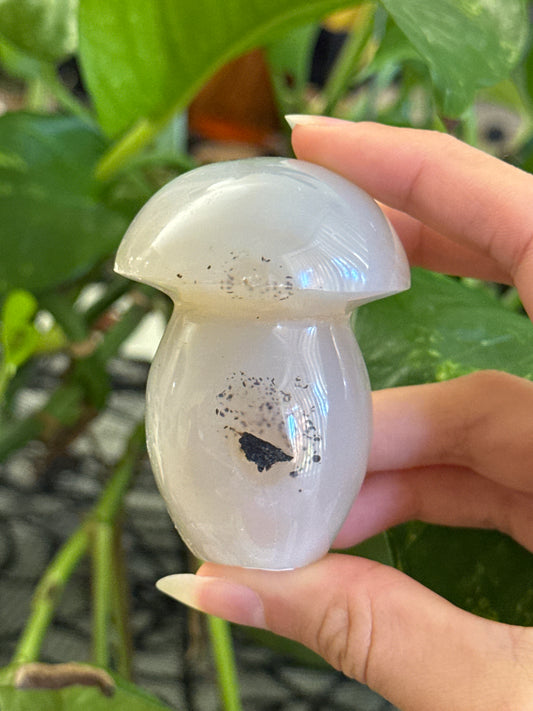 Dendritic Agate Mushroom