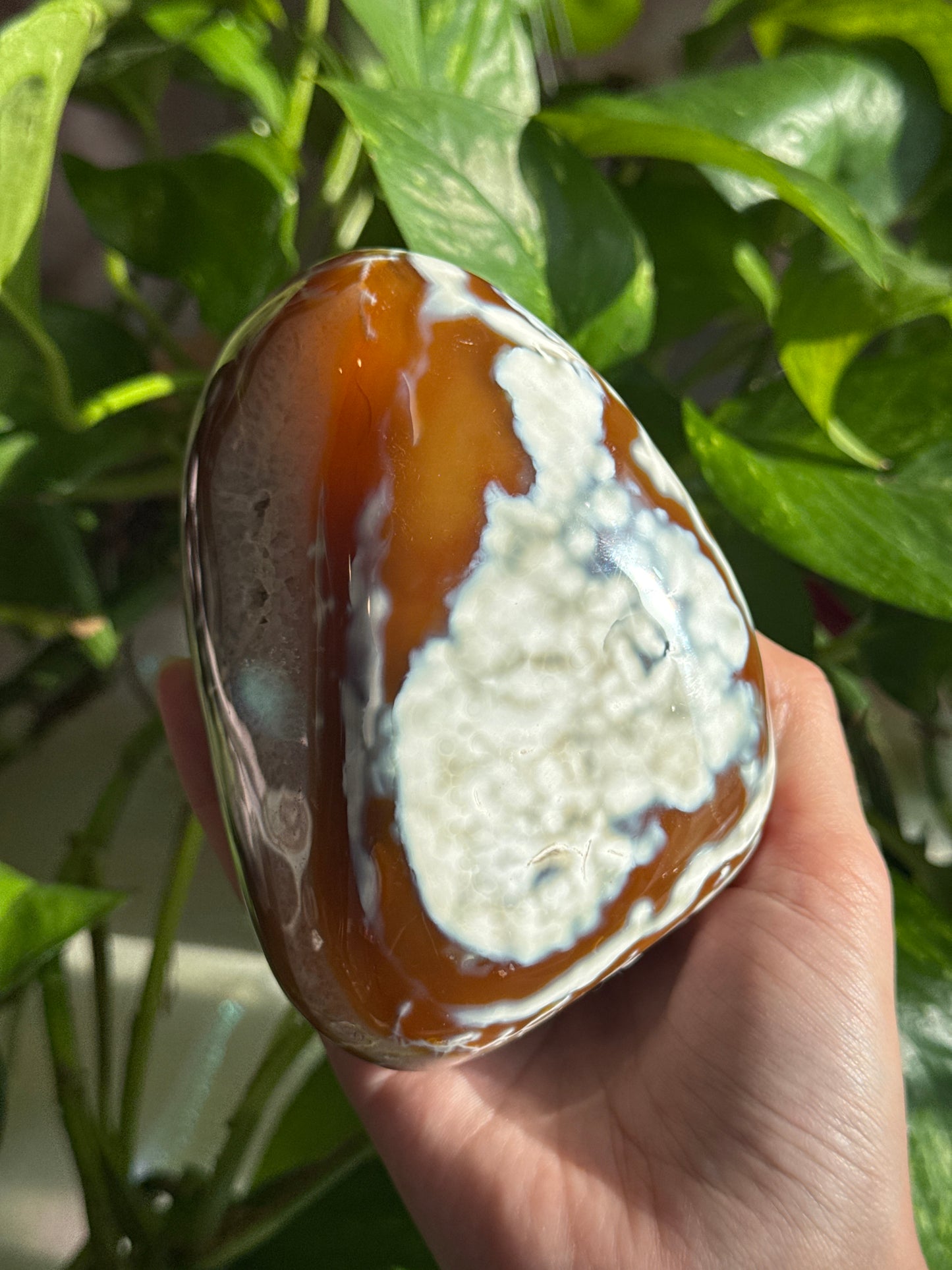 Unique Dreamy Carnelian & Quartz & Orca Agate Large Freeform