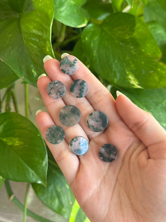 Moss Agate High Grade Mini Disk