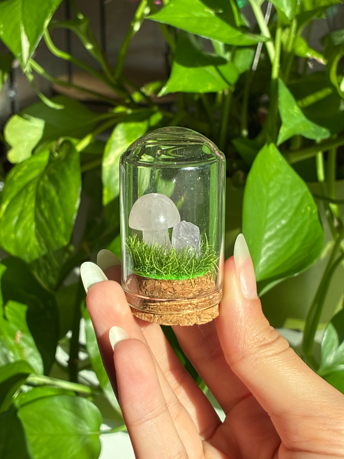 Rose Quartz Mushroom & Raw Amethyst ‘Love’ Mini Terrarium