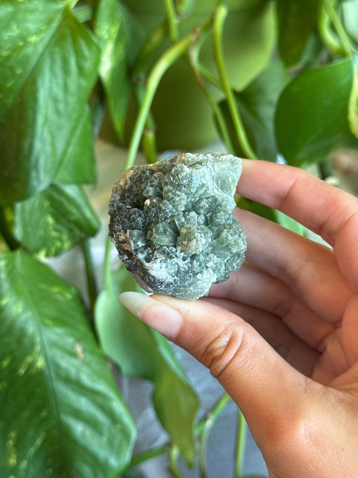 Moody Dark Green Crystalized Prehnite Specimen Cluster