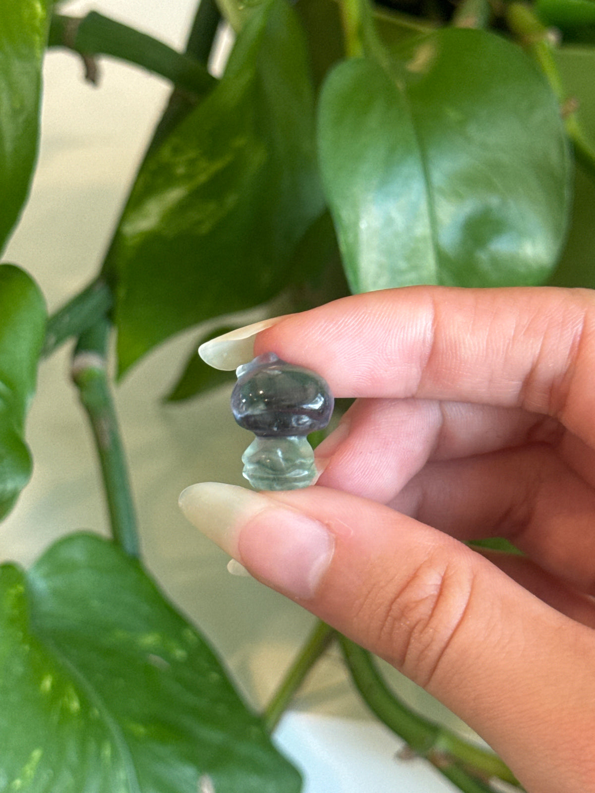 Fluorite Kiki Twin Star