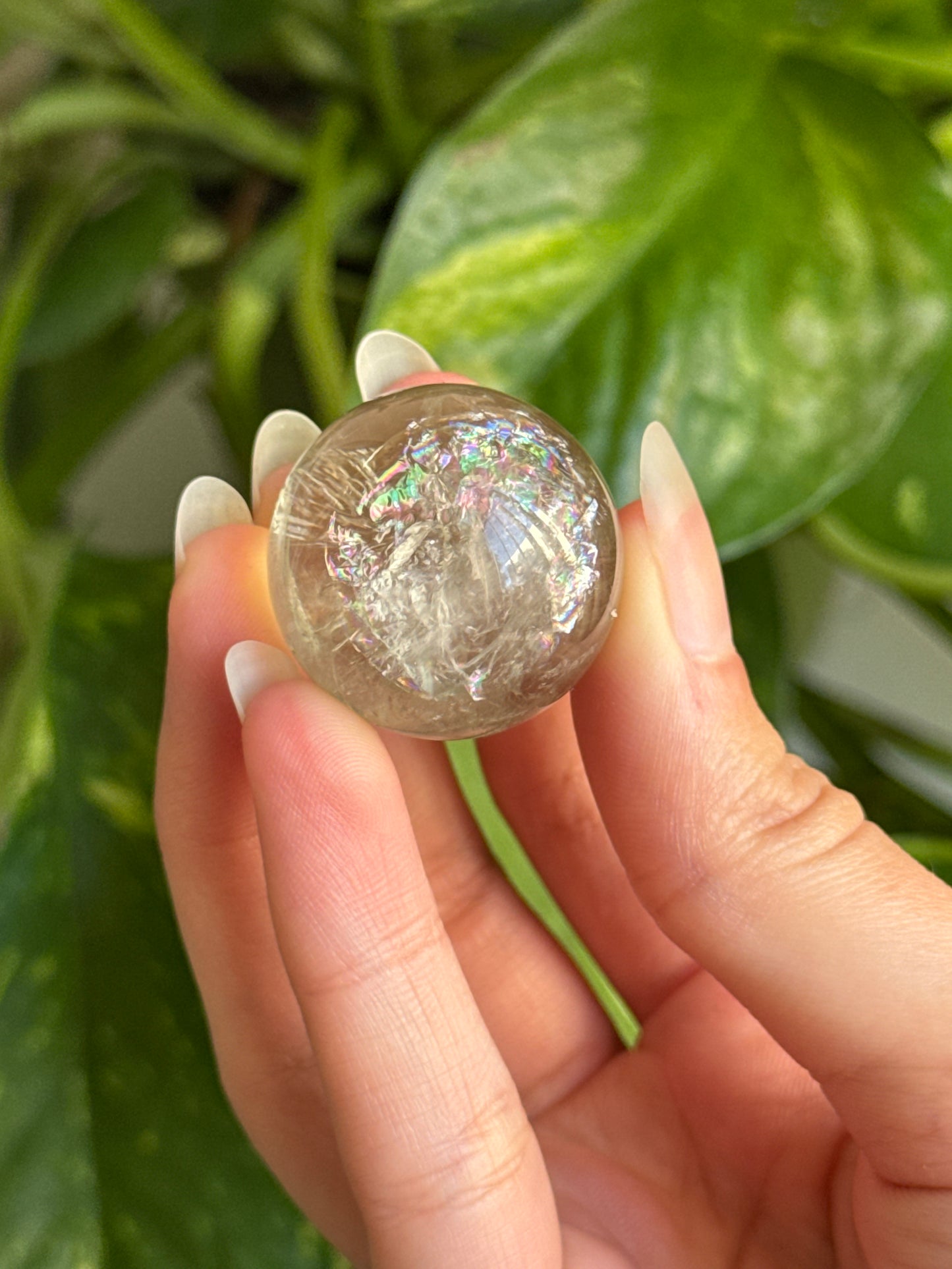 Prasiolite Rainbow Sphere | You Pick