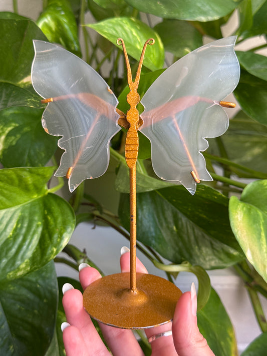 Iris Agate Butterfly | See Video