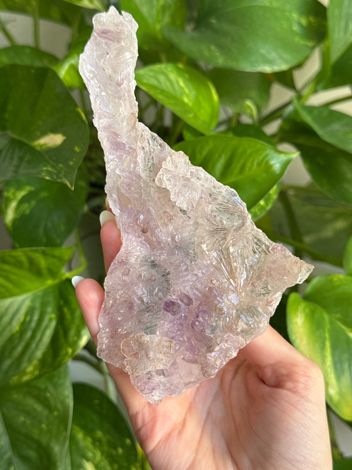 Flower Amethyst Specimen