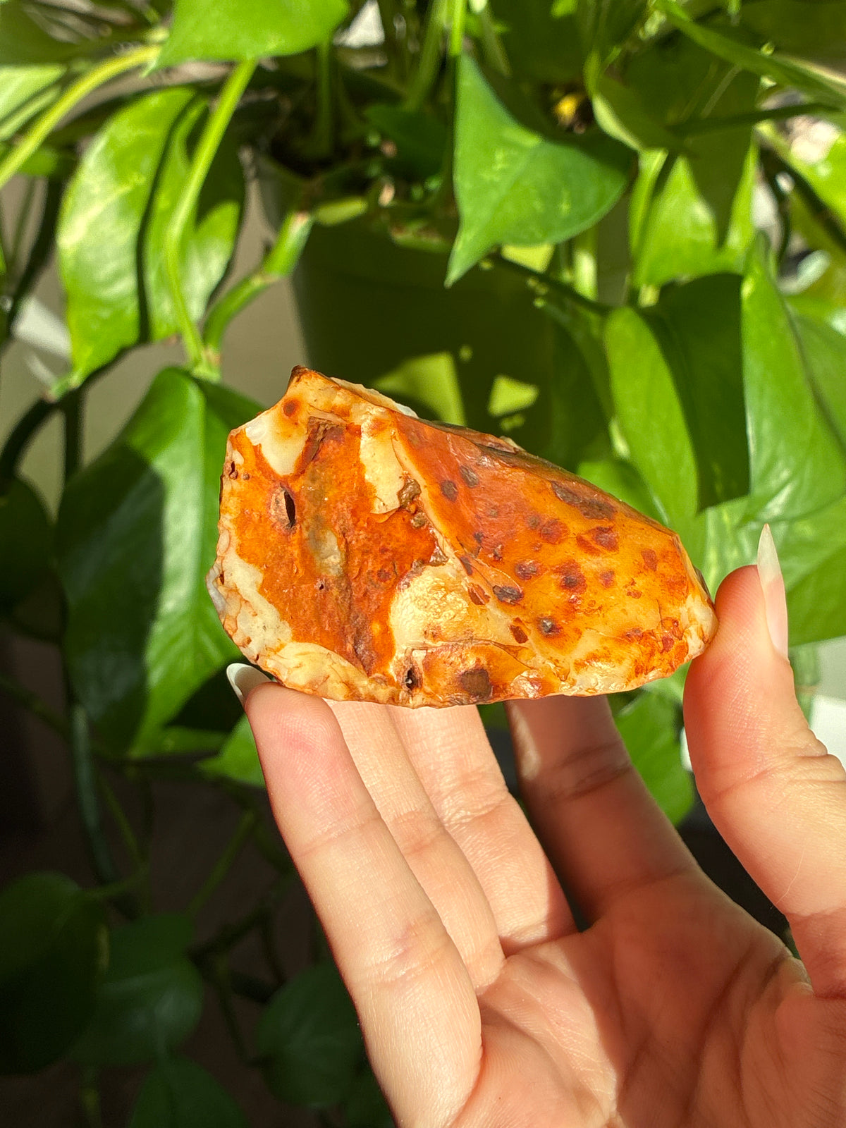 Raw Carnelian ‘Frog’ Specimen