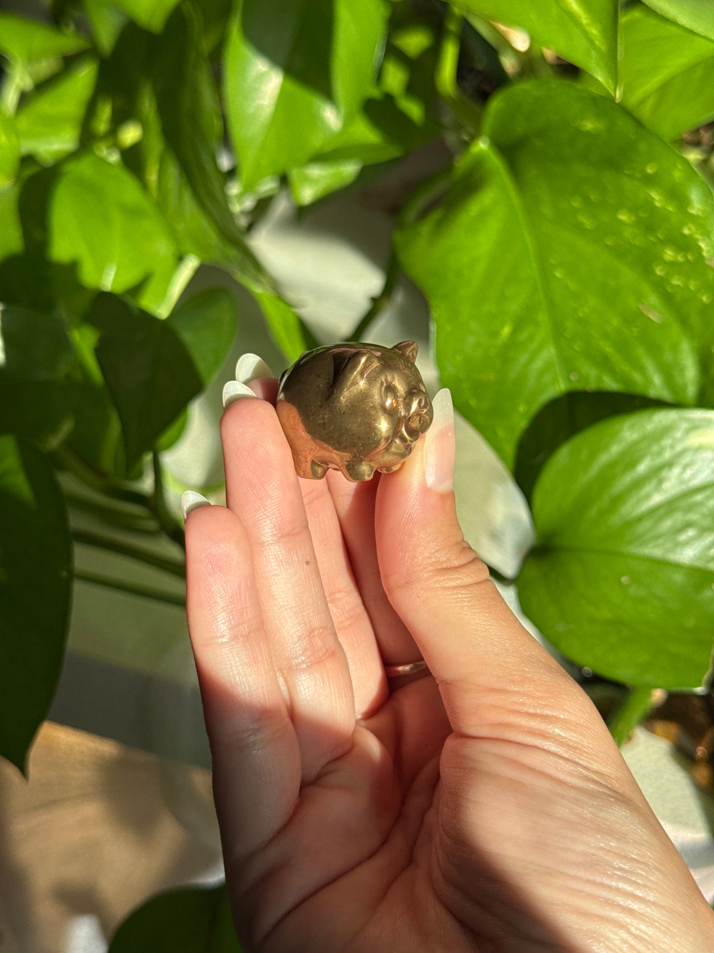 Pyrite Money Attraction Pig