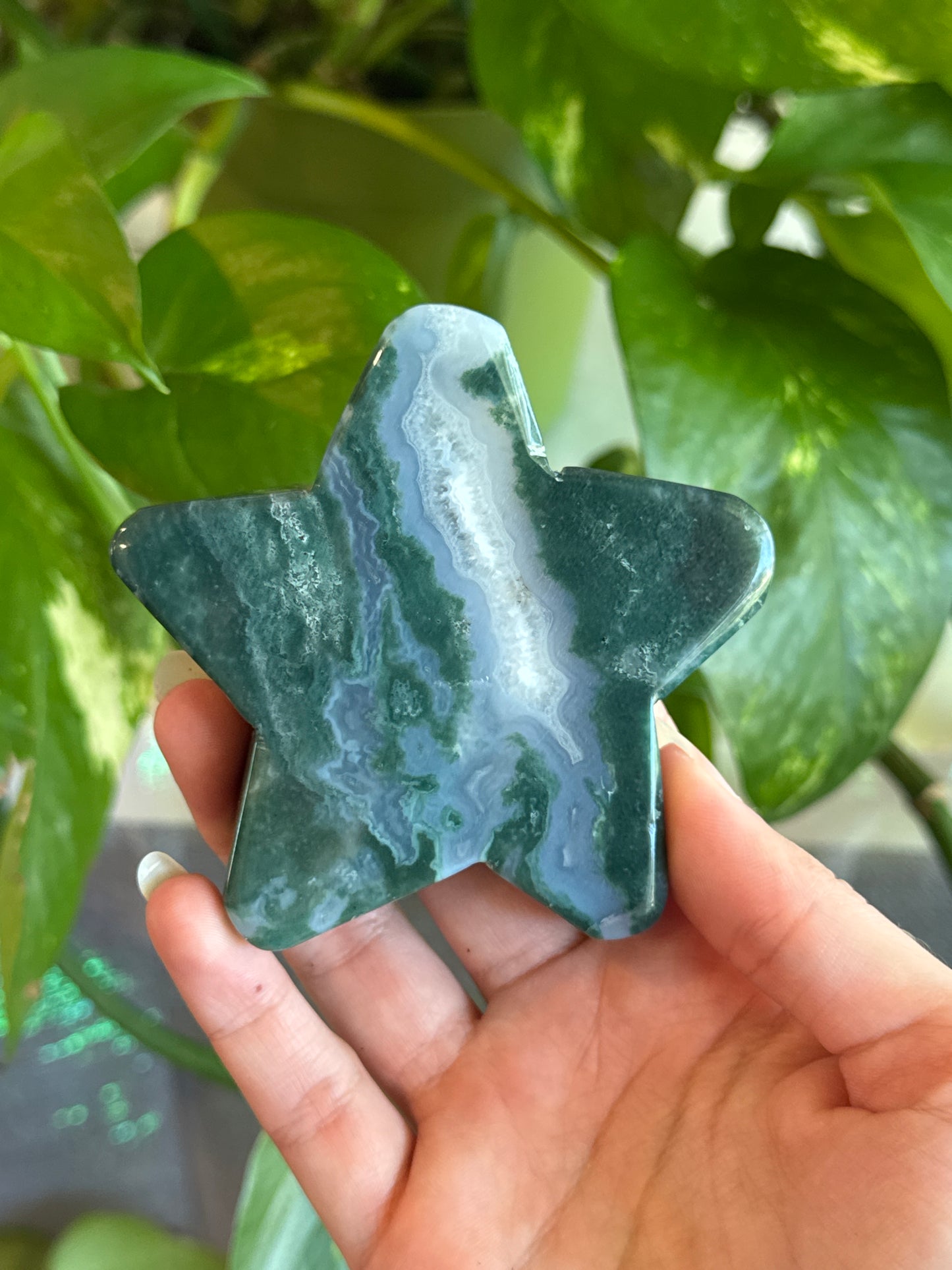 Gorgeous Moss Agate Star A