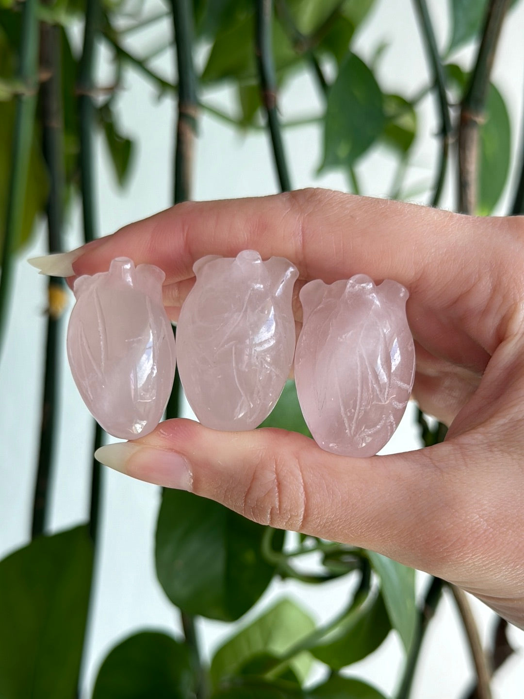 Rose Quartz Anatomical Heart