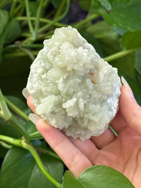 Crystallized Prehnite C