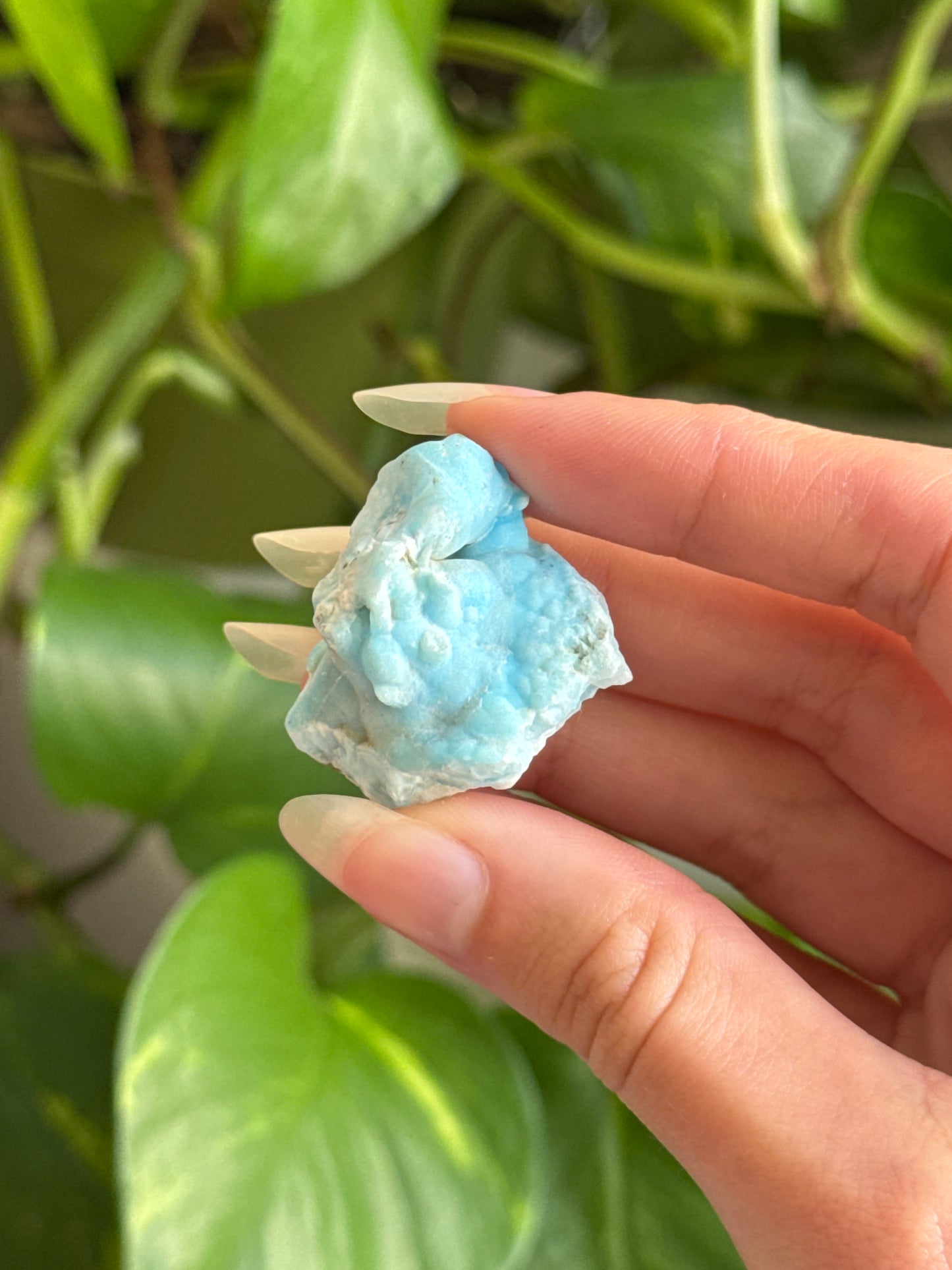 Hemimorphite Specimen | You Pick