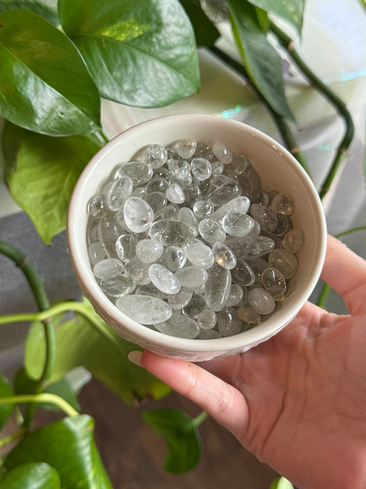 Large Prasiolite Chips