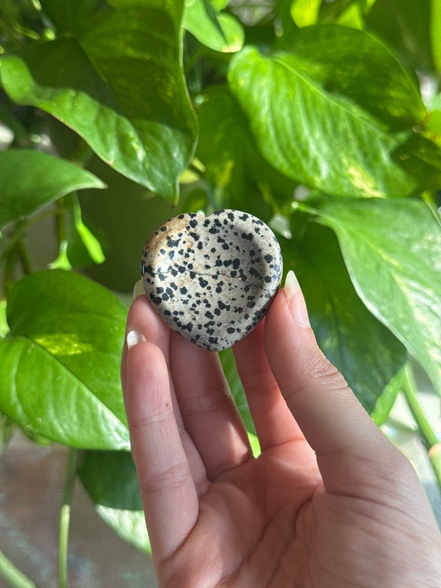 Dalmatian Jasper Heart Worry Stone