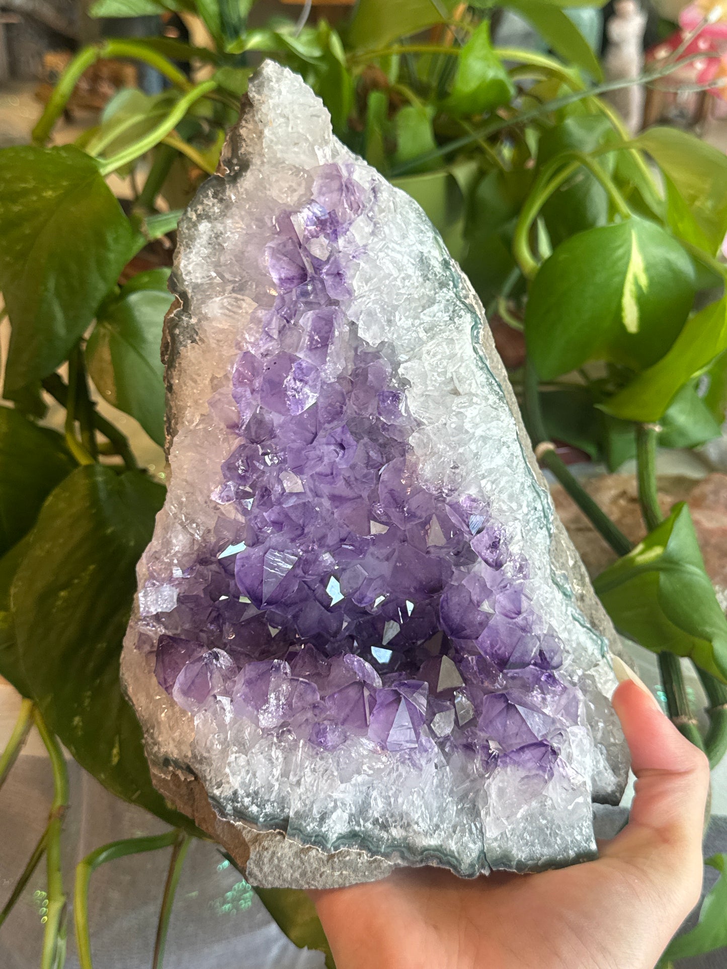 Statement Amethyst Cave Cluster