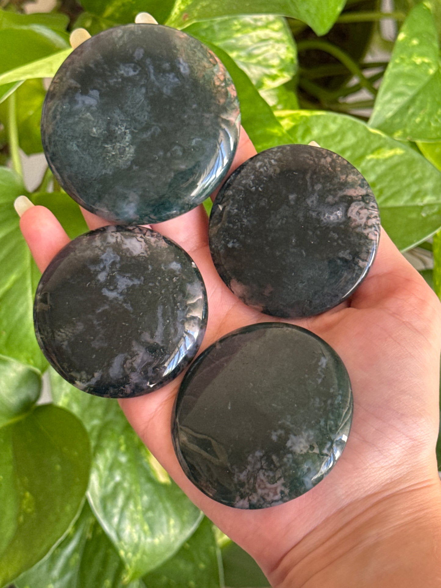 Clear Moss Agate Disk Batch B