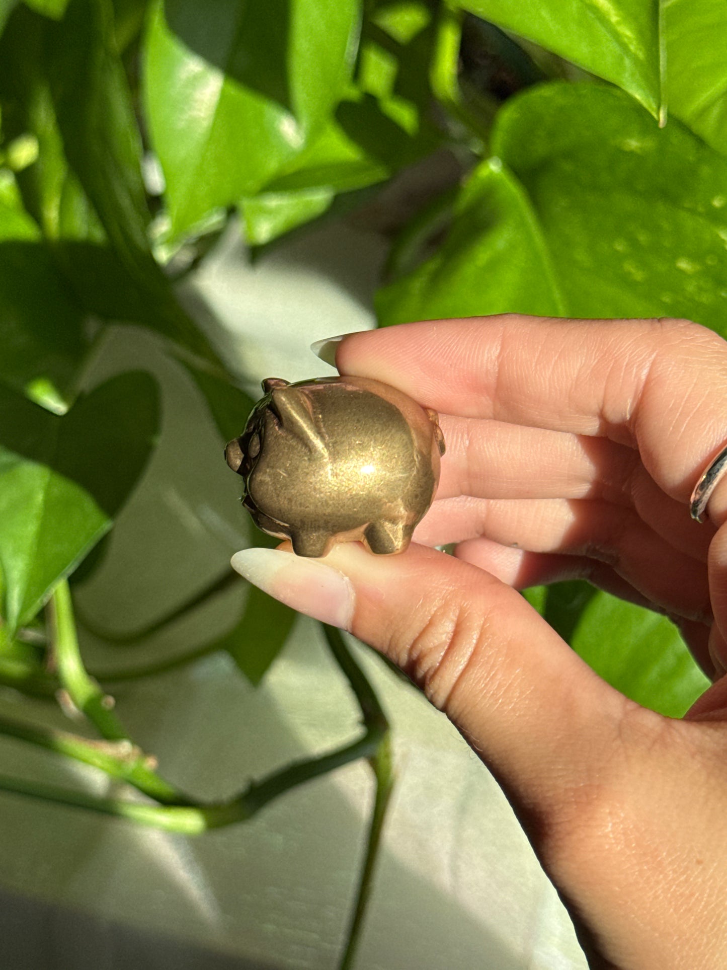 Pyrite Money Attraction Pig