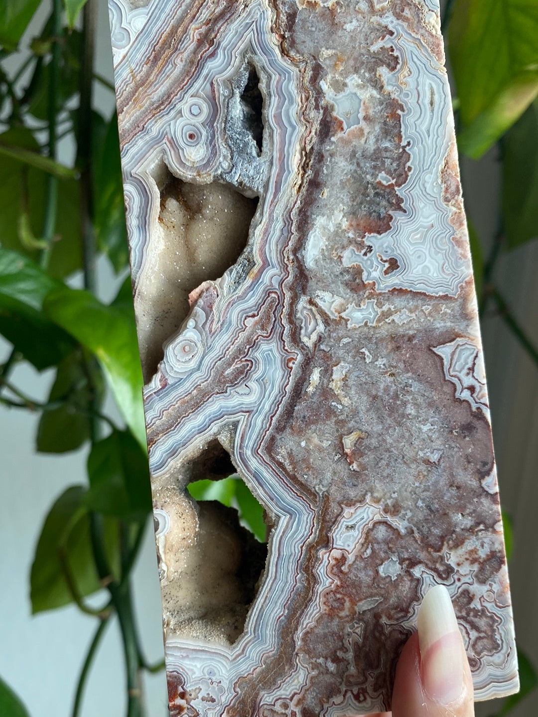 XL Mexican Crazy Lace Agate Tower With Druzy