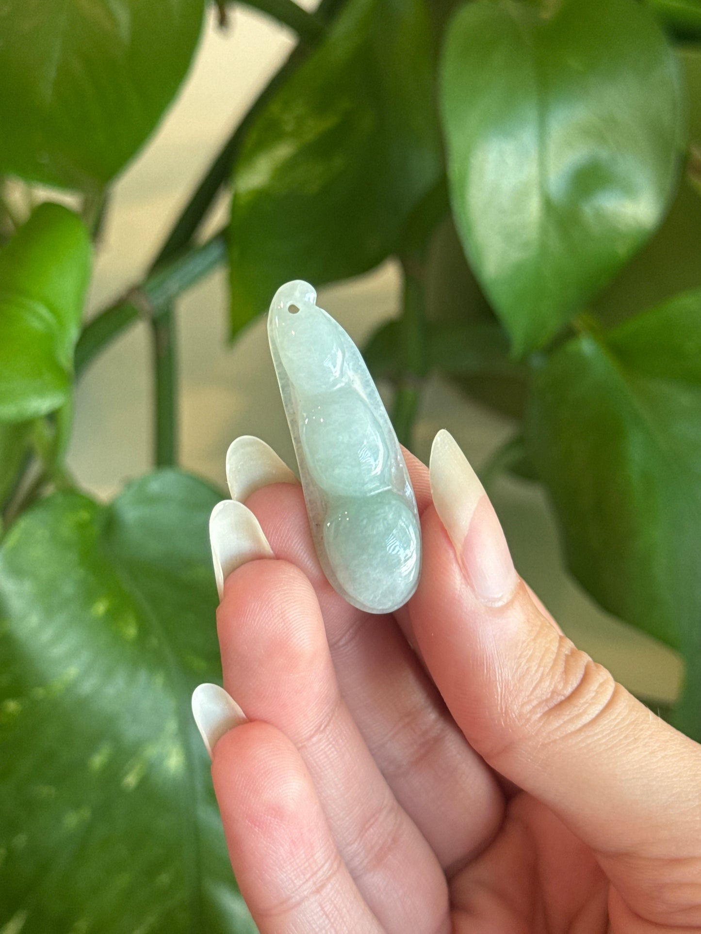 Jade Snap Pea